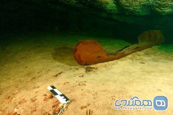 تور ارزان مکزیک: یک قایق چوبی باستانی متعلق به مایاها در جنوب مکزیک کشف شد