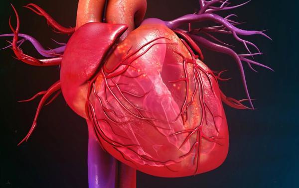 درمان سکته قلبی با استفاده از mRNA: نتایج امیدوارکننده